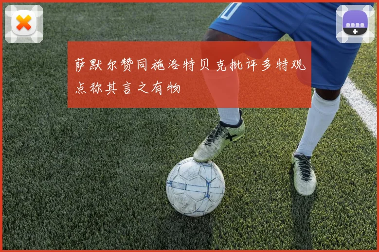 萨默尔赞同施洛特贝克批评多特观点称其言之有物