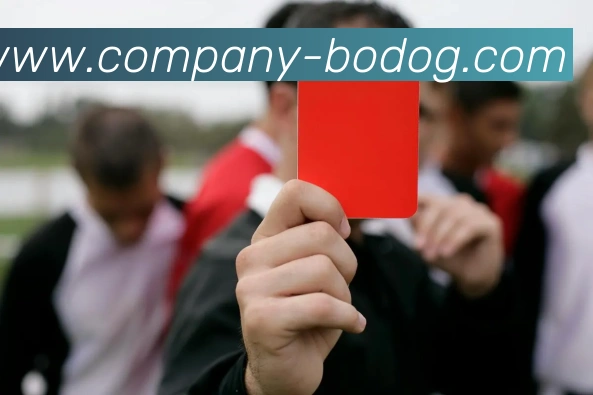 博狗娱乐服务体系